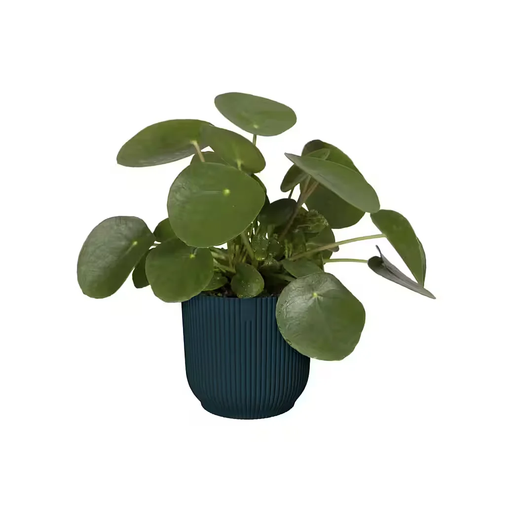 Elho Vibes Fold Blumentopf Durchmesser 14 x 13 cm für Zimmerpflanzen