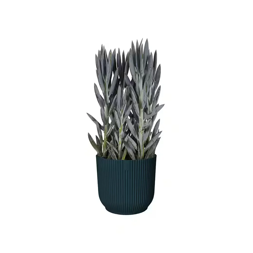 Elho Vibes Fold Blumentopf Durchmesser 14 x 13 cm für Zimmerpflanzen