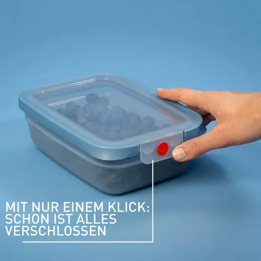 EMSA oneClick Frischhaltedose Vorratsdose mit Klickverschluss